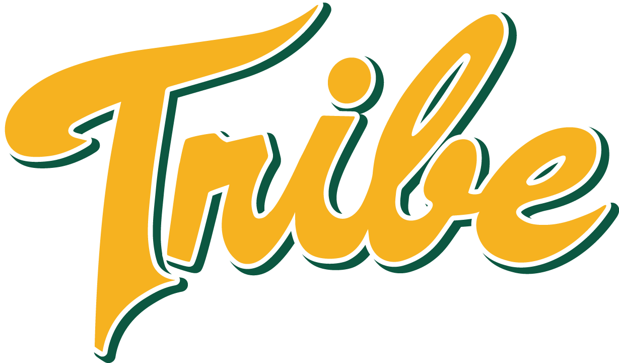 William and Mary Tribe 2016-Pres Alternate Logo iron on transfers for T-shirts